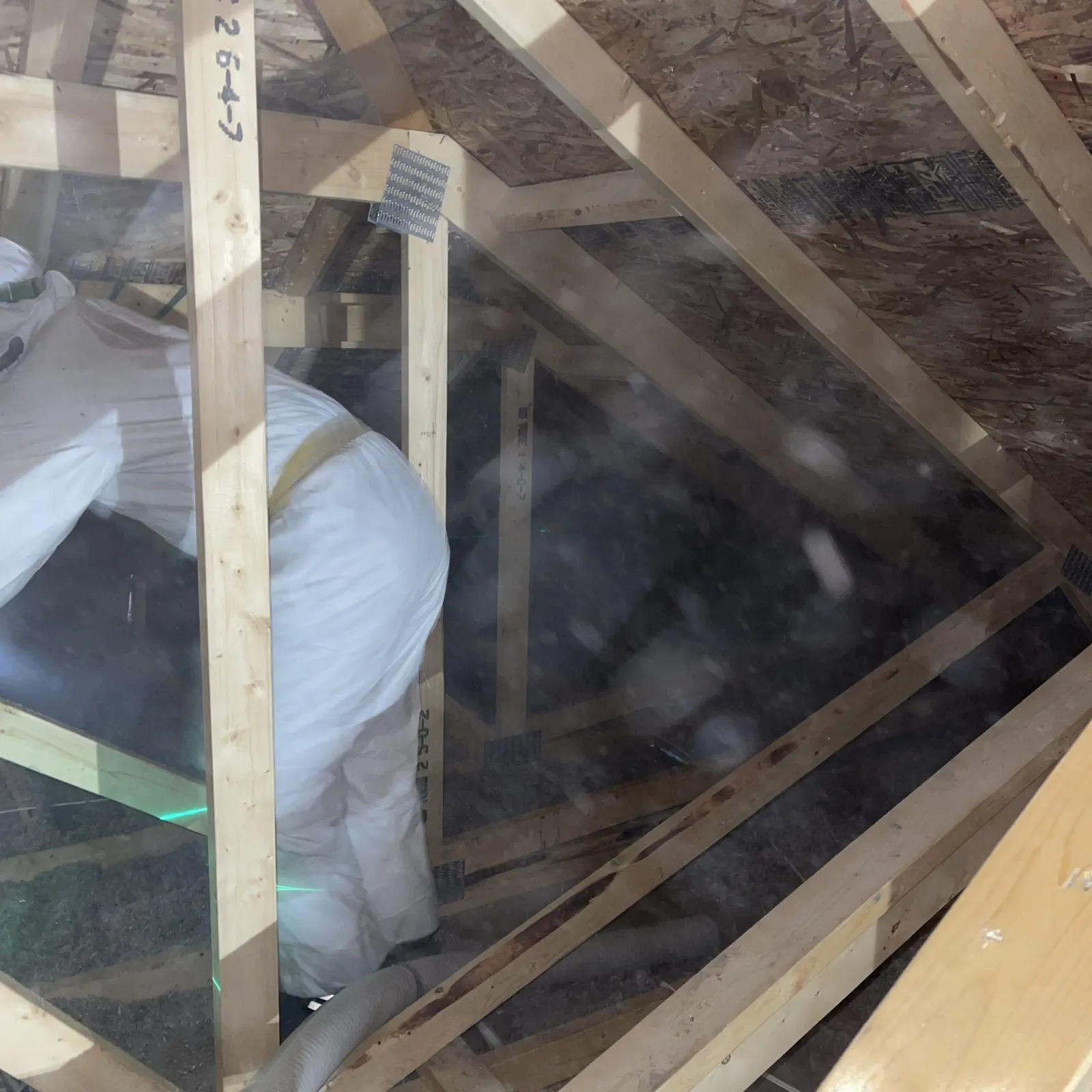 Industrial vacuum hose pulling old insulation out of an attic